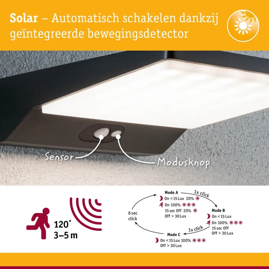Paulmann Ronas LED Wandarmatuur Buiten Bewegingsmelder 320lm