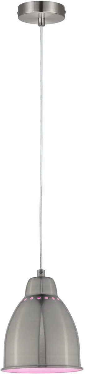 Paulmann Neordic Hanglamp Hilla E27 - 40W - Staal geborsteld