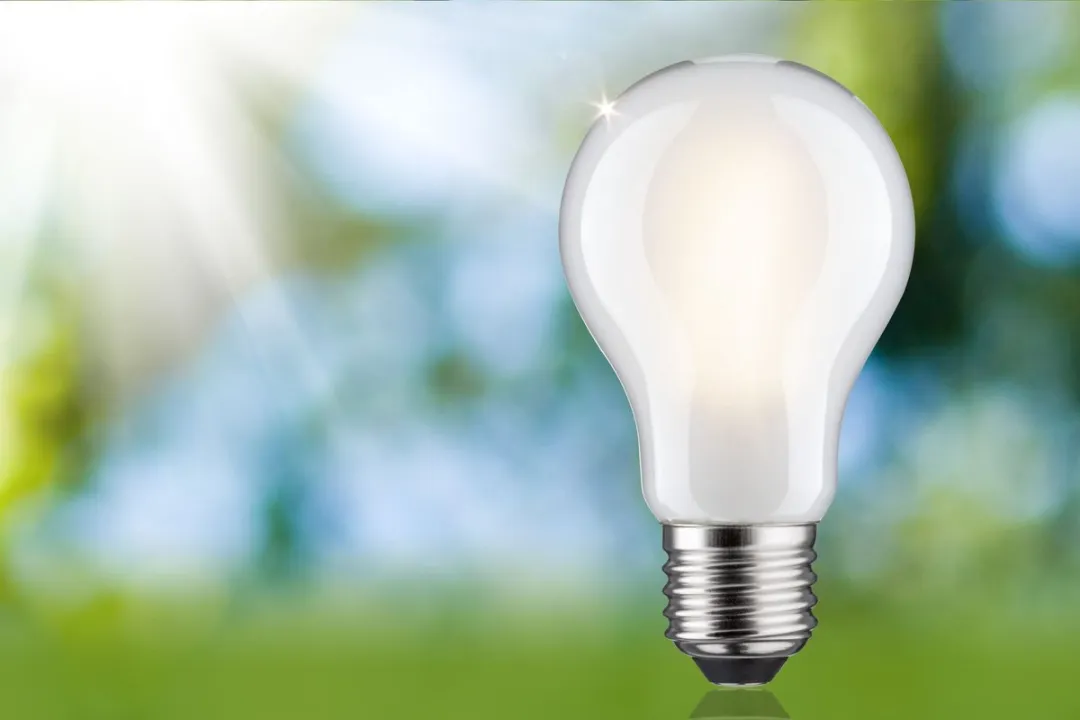 Paulmann Eco-Line Filament LED-gloeilamp E27 2,5W 470lm 3000K Mat