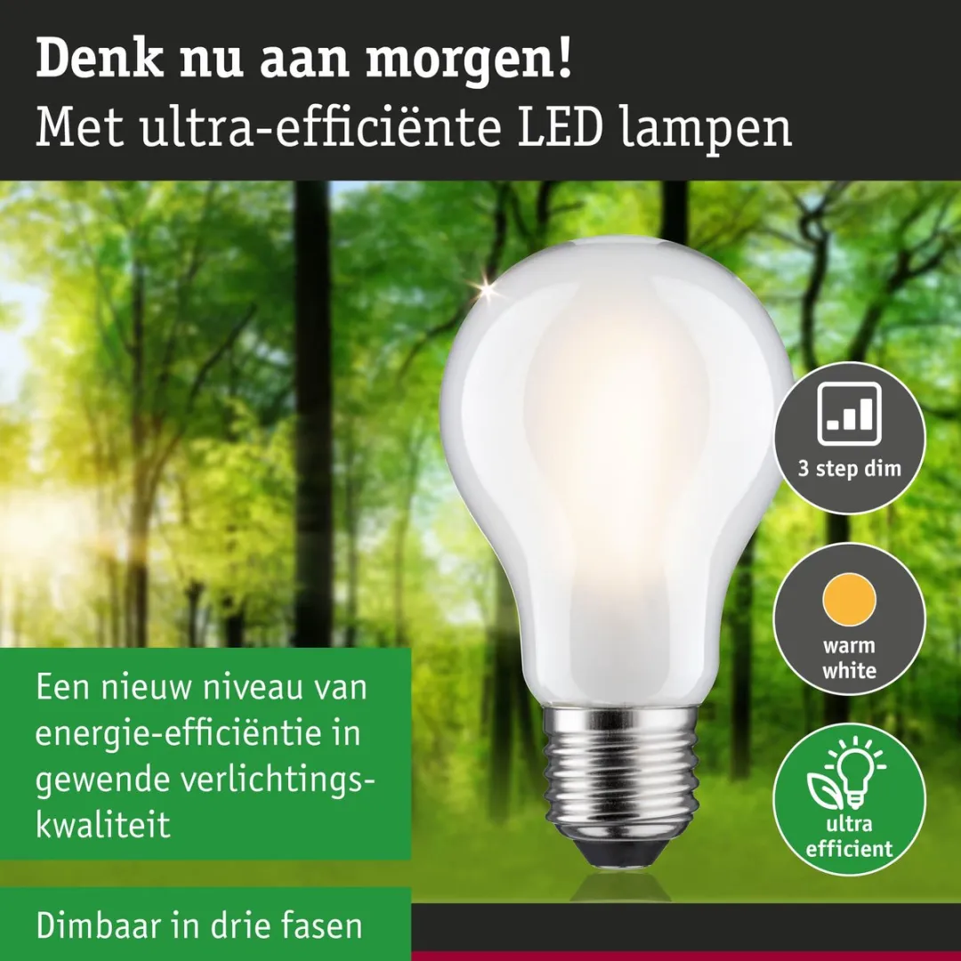 Paulmann Eco-Line Filament LED-gloeilamp E27 2,5W 470lm 3000K Mat - afbeelding 6 van 6