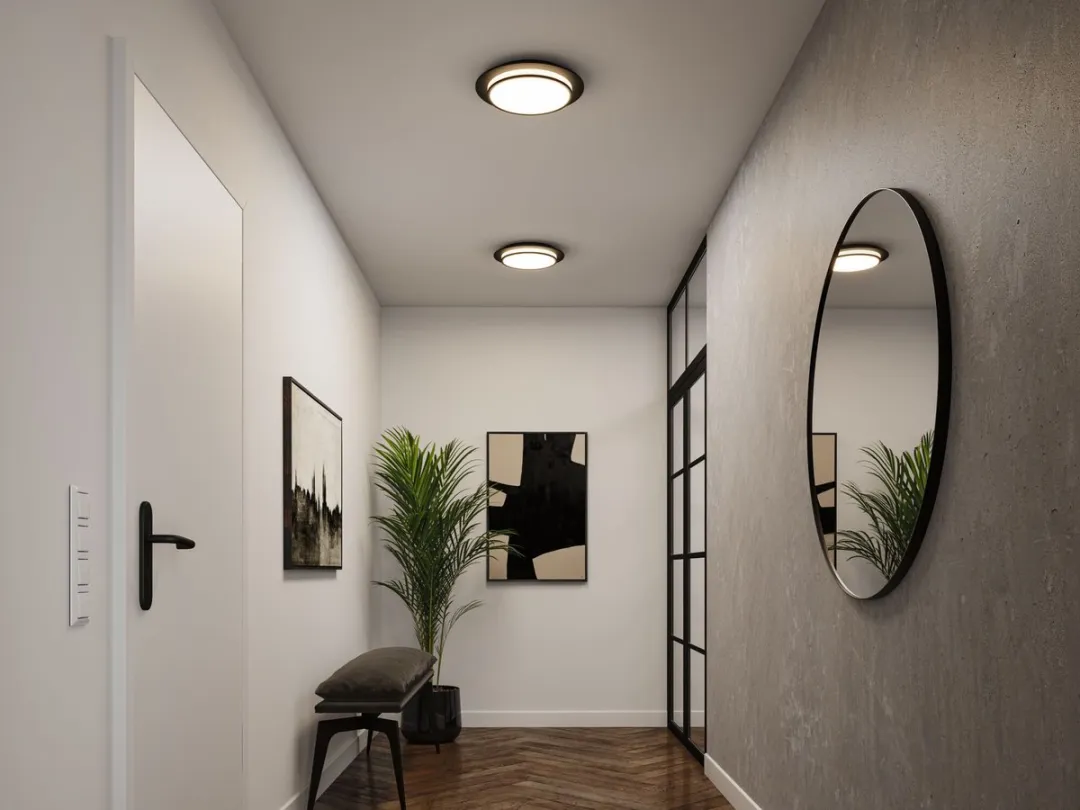 Paulmann LED Plafondlamp Egron 2700K 750lm - Zwart mat