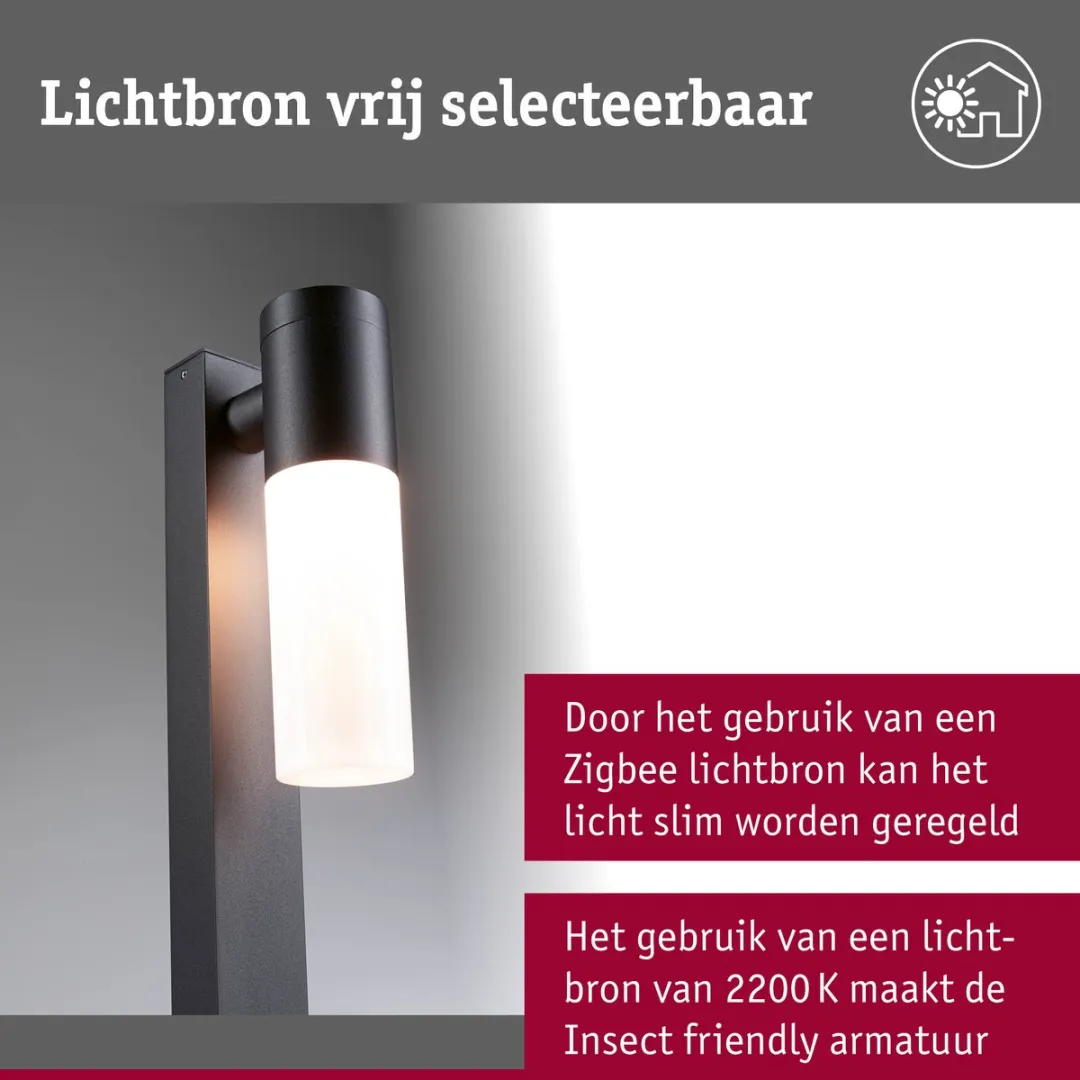 Paulmann Bolderlamp Tralia IP44 650mm - Antraciet
