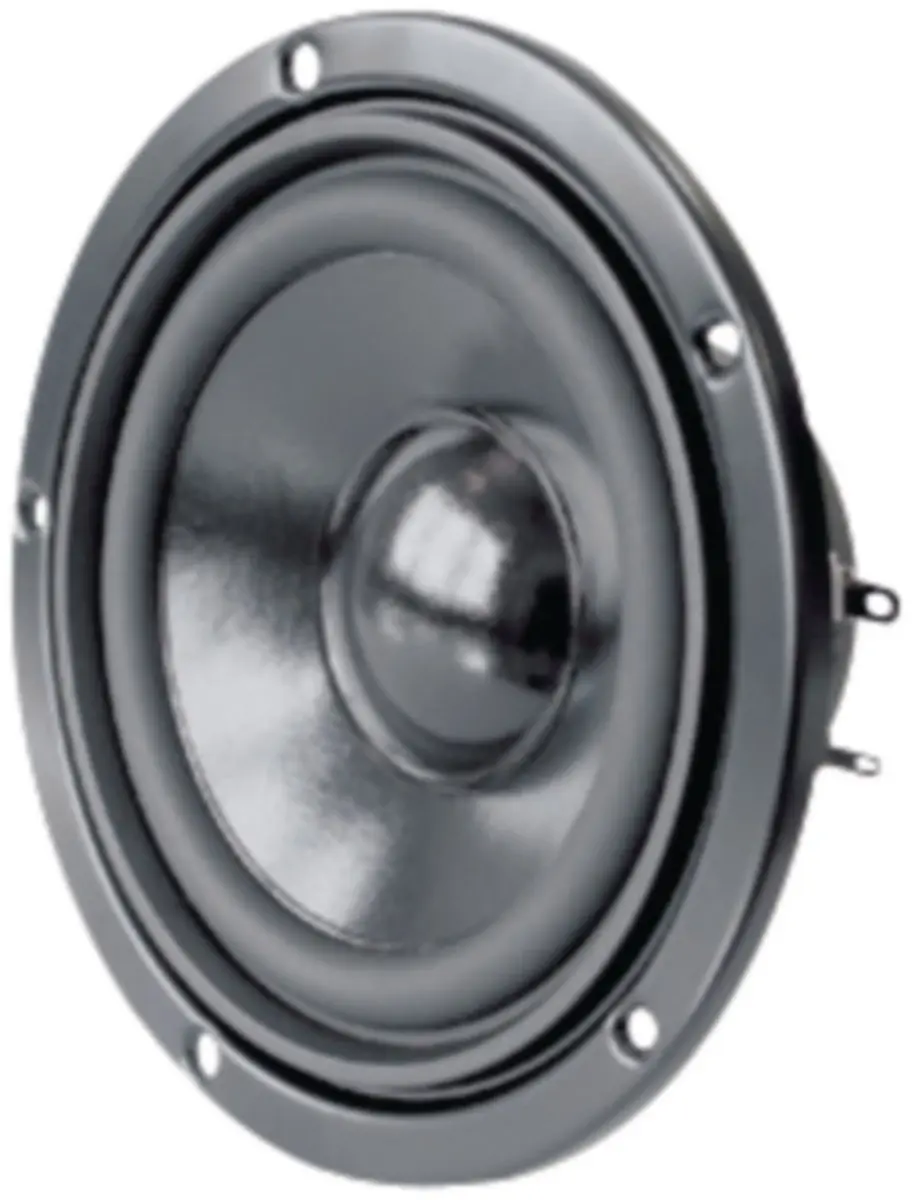 Visaton W100s Midrange Luidspreker 10 Cm 8 Ohm