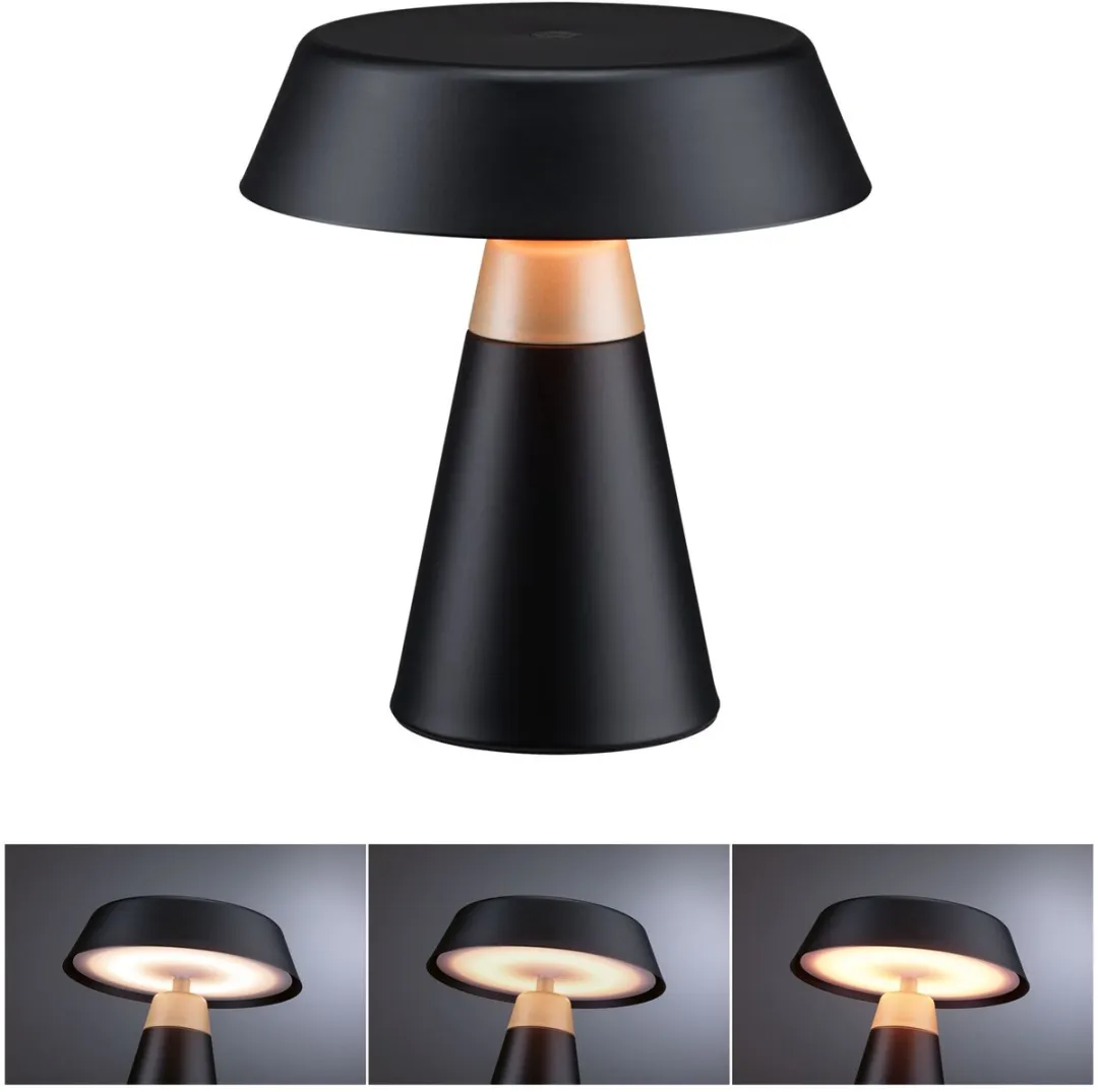 Paulmann Acculamp Lirox IP44 1x1.5W - Zwart/Champagne