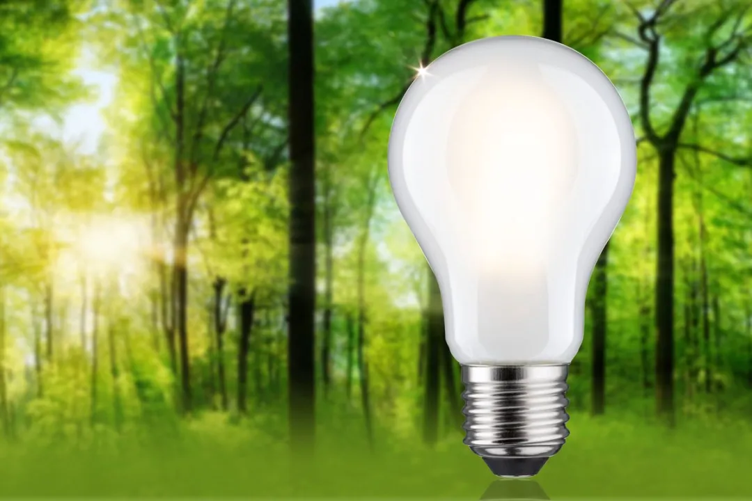 Paulmann Eco-Line Filament LED-gloeilamp E27 1055lm 5,7W 3000K Mat