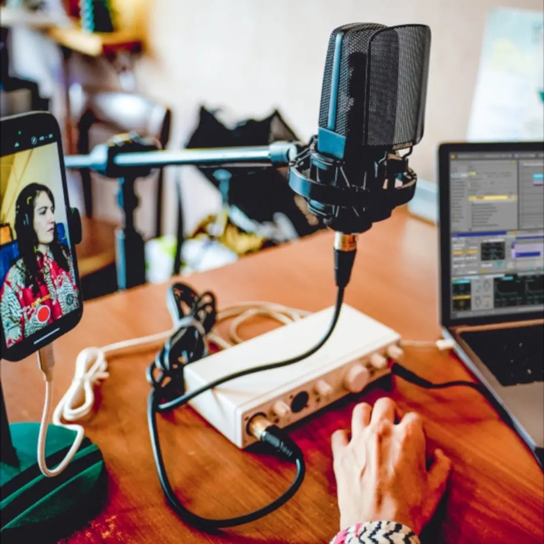 Arturia MiniFuse 2 OTG Draagbare USB-C Audio Interface - afbeelding 4 van 6
