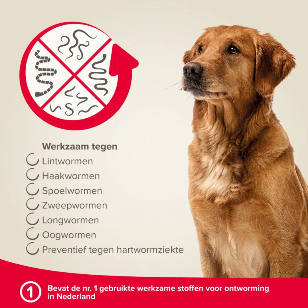 Beaphar Milquestra Ontworming Tabletten Hond 5-50kg - 4 Stuks