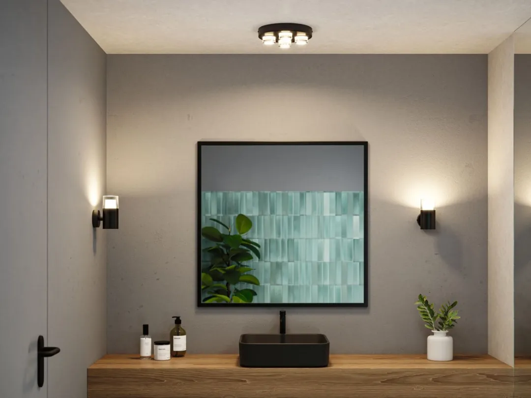 Paulmann Selection Bathroom Wand- en plafondlamp 4x500lm Signaal zwart