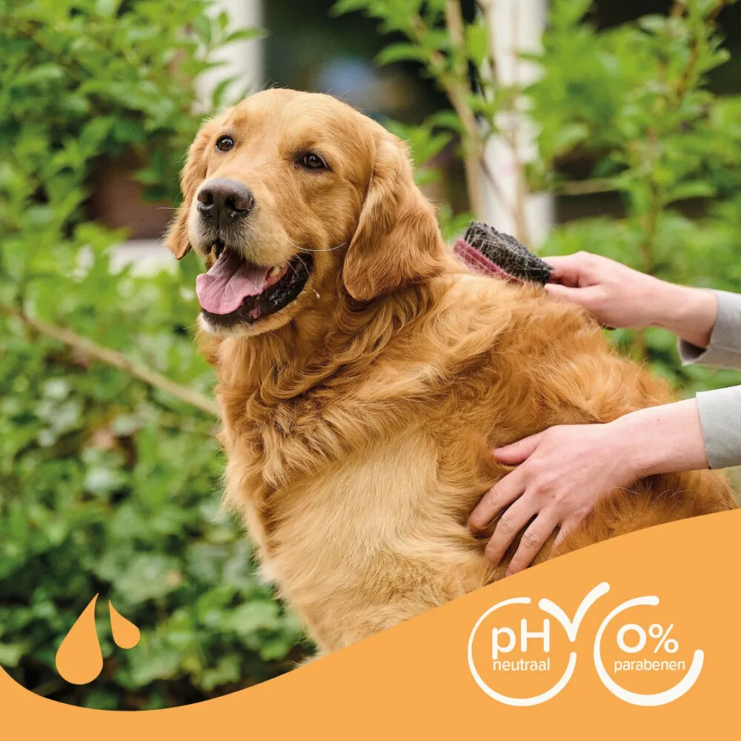 Beaphar Shampoo Bruine Vacht Hond 250ml