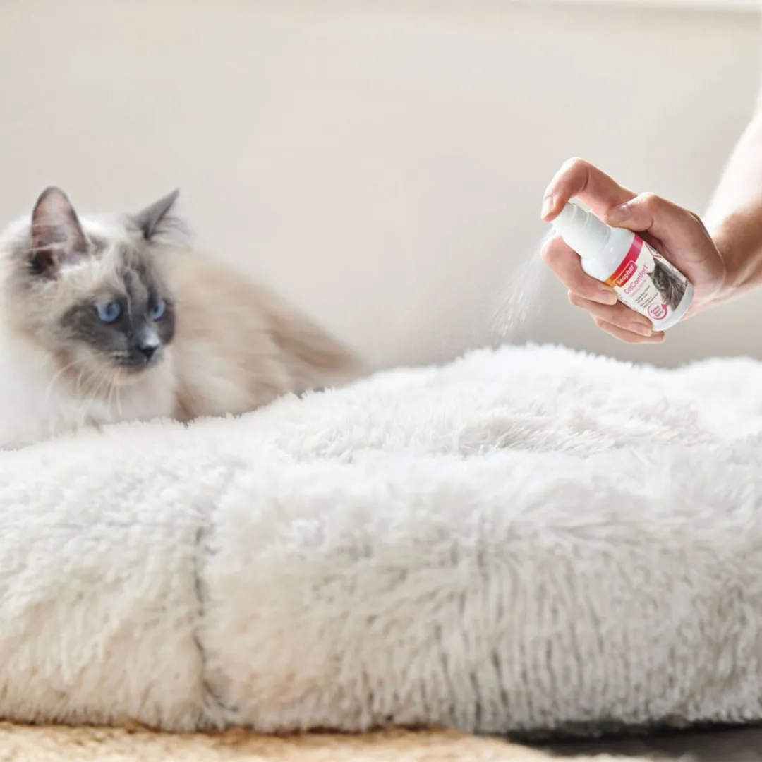 Beaphar CatComfort Kalmerende Spray 60ml