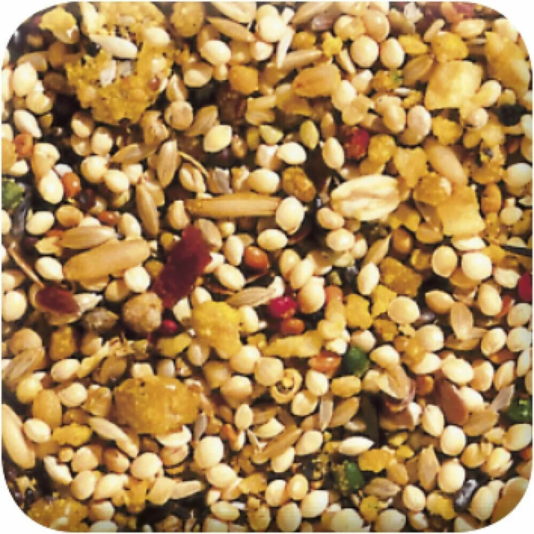 Beaphar Xtravital Parkiet Vogelvoer 500g