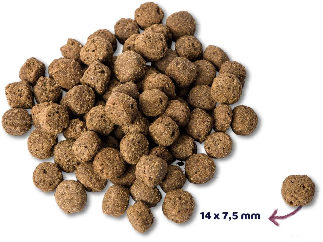 Renske Adult Oceaanvis - Hondenvoer - 2 kg