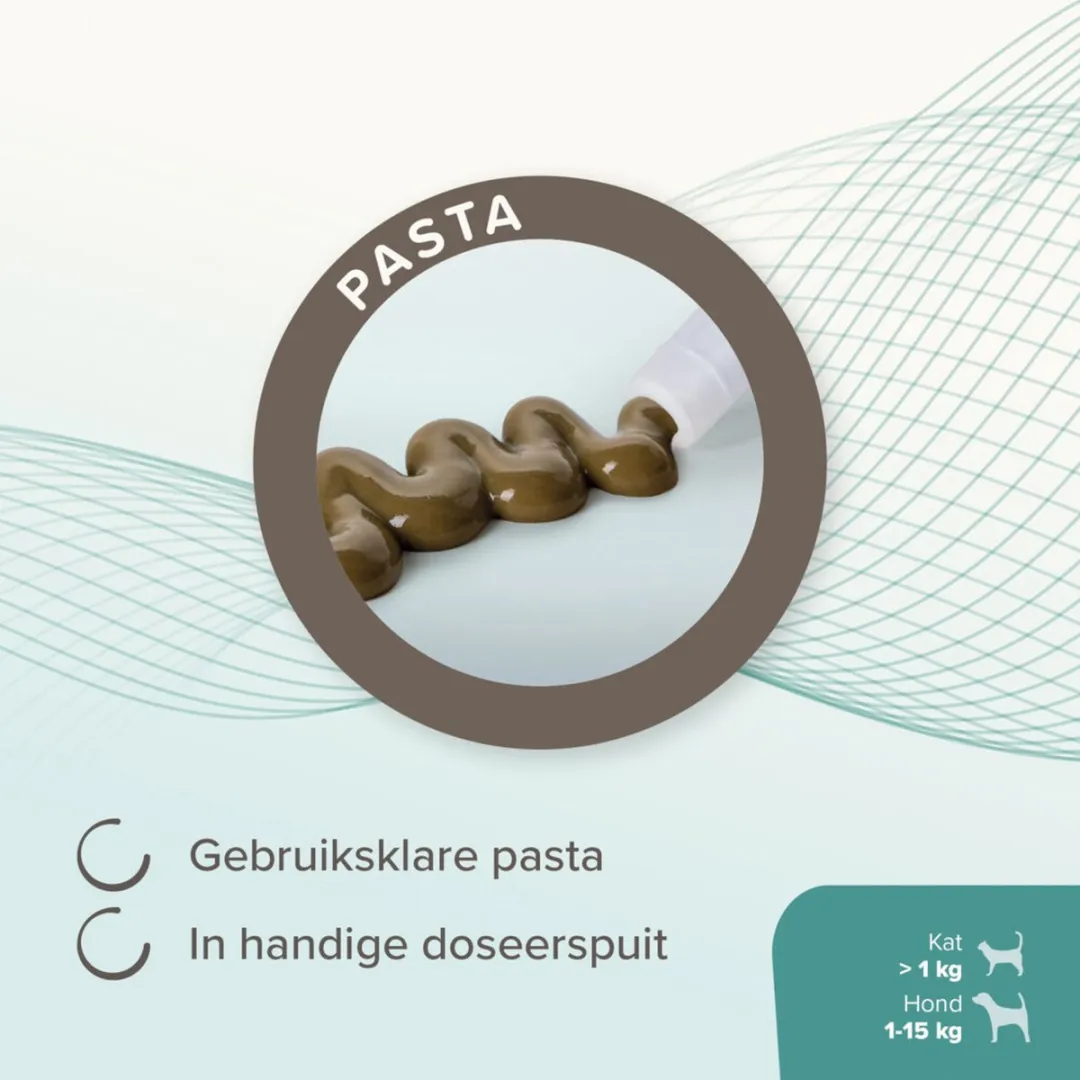 Beaphar IntestoPro Pasta tot 15kg 20ml