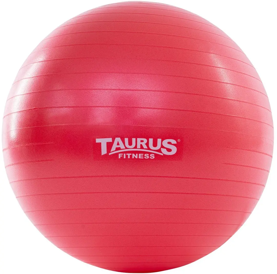 Taurus Gym Bal anti-burst 55 cm