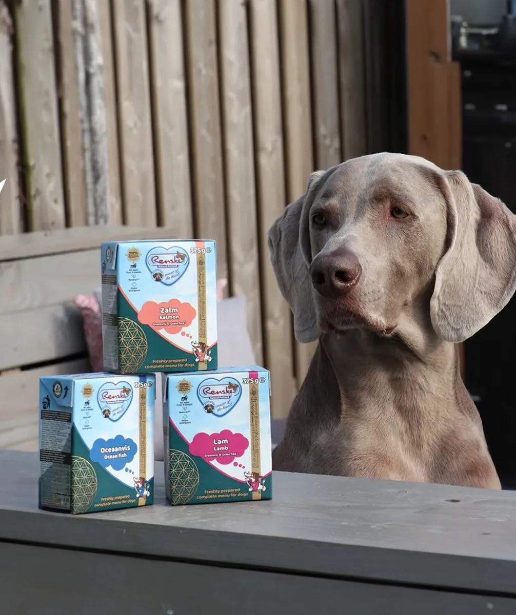 Renske Vers Graanvrij Hondenvoer Lam 375g