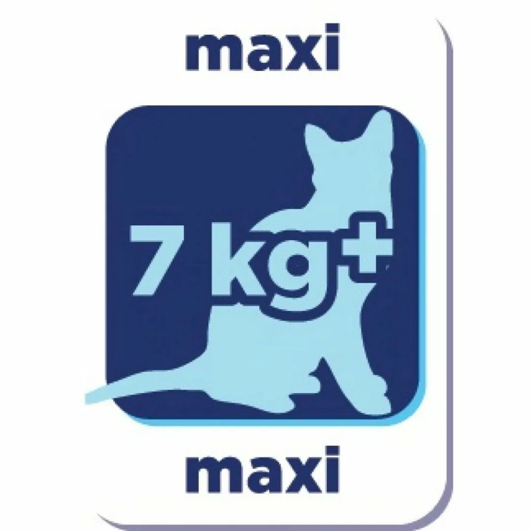 Renske Kat Adult Maxi Verse Zeevis & Zalm - 6 kg (4x1.5kg)