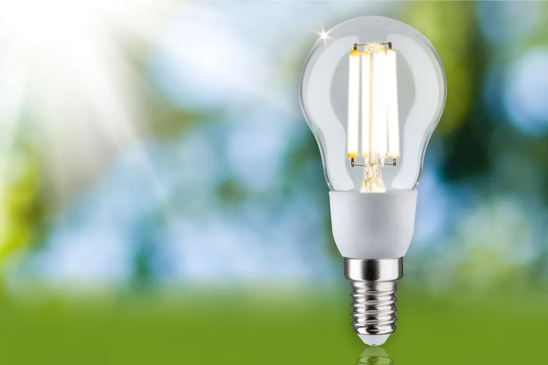 Paulmann Eco-Line LED Kogellamp E14 2,5W 525lm 100mm - Helder