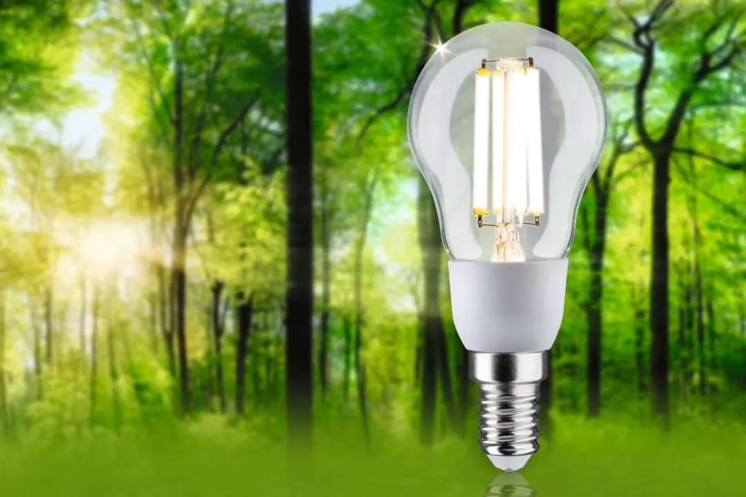 Paulmann Eco-Line LED Kogellamp E14 2,5W 525lm 100mm - Helder