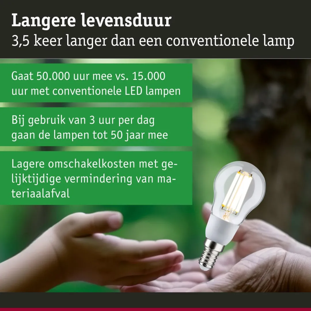 Paulmann Eco-Line LED Kogellamp E14 2,5W 525lm 100mm - Helder - afbeelding 6 van 6