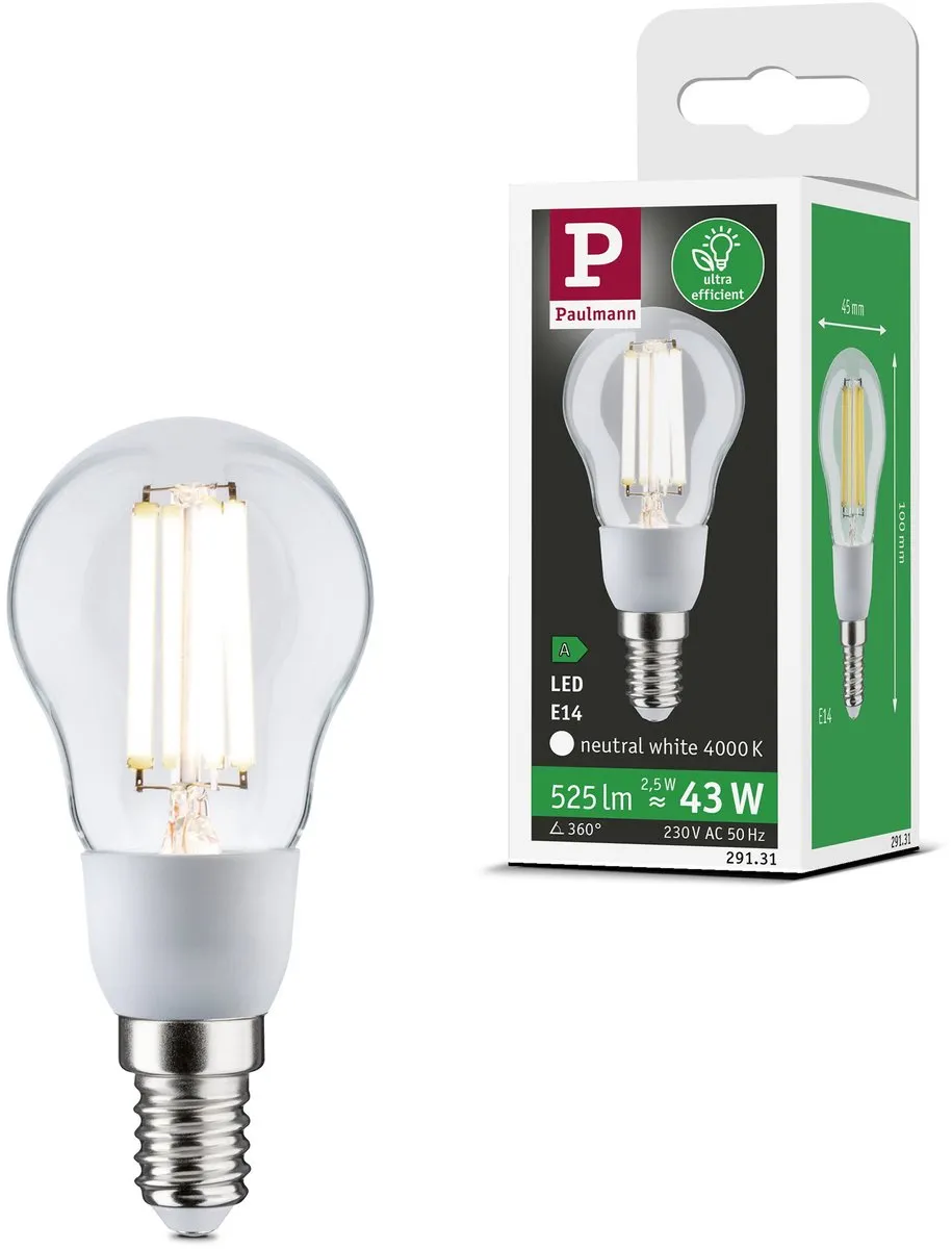 Paulmann Eco-Line LED Kogellamp E14 2,5W 525lm 100mm