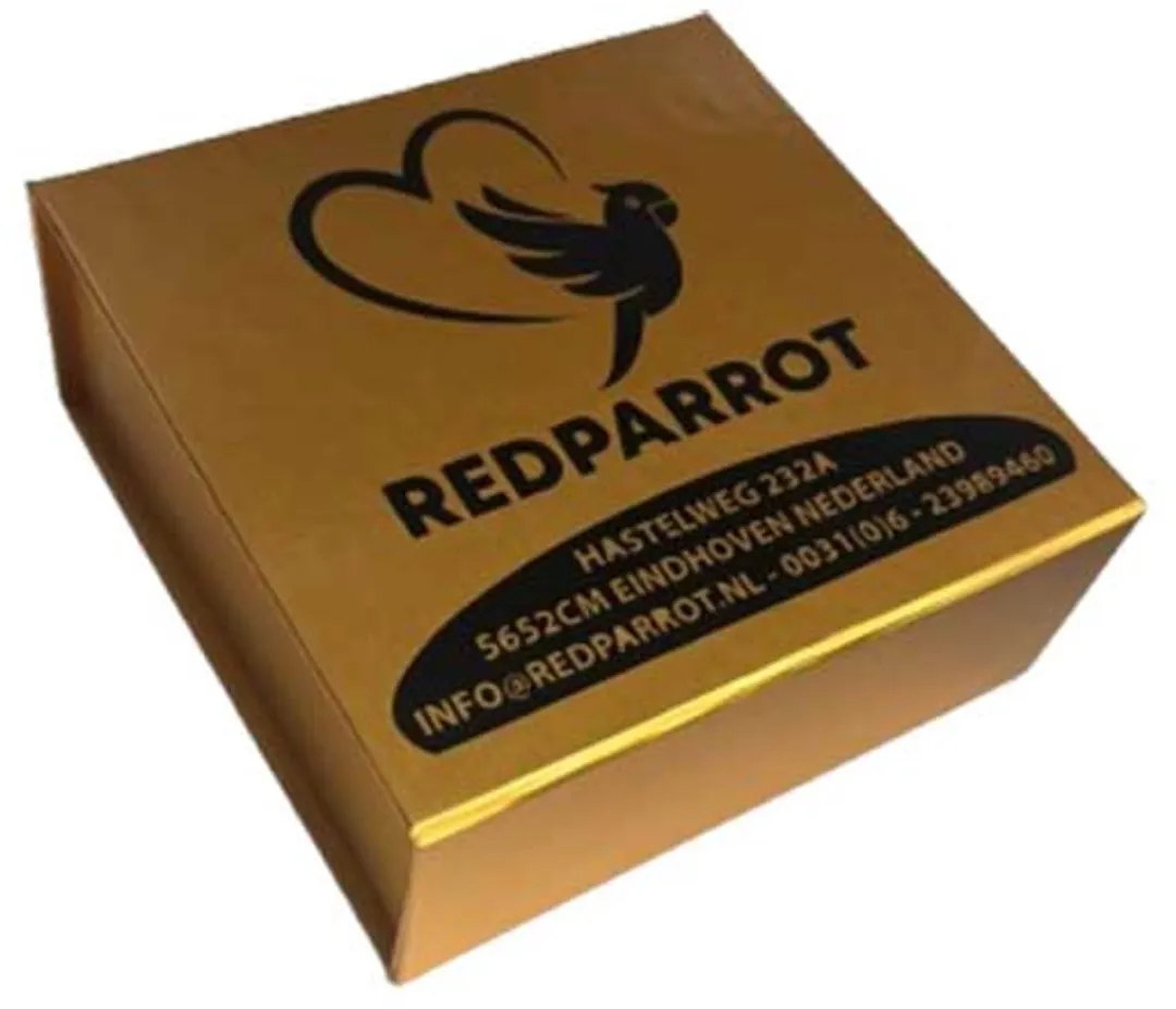 Spy wekker - Klok met camera - Nachtvisie - Bewegingsdetectie - Infrarood - 32GB