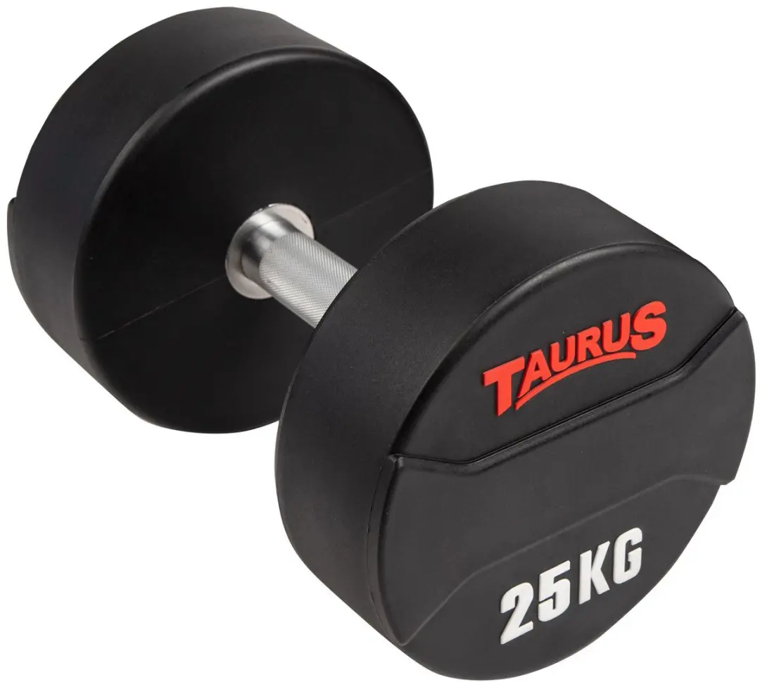 Taurus CPU Halterset