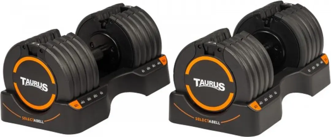 Taurus
