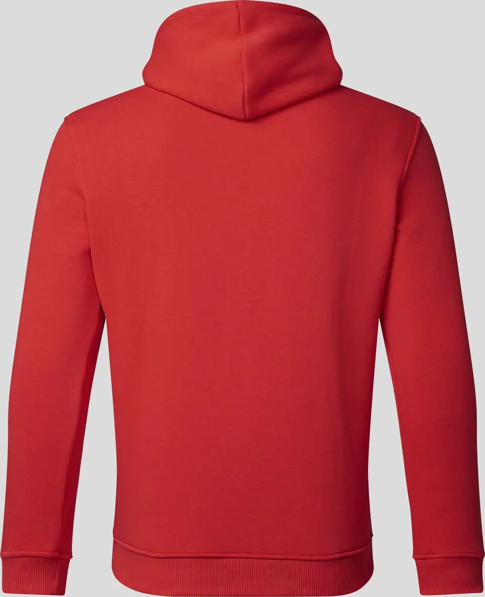 Red Bull Racing Logo Hoody Rood XXL