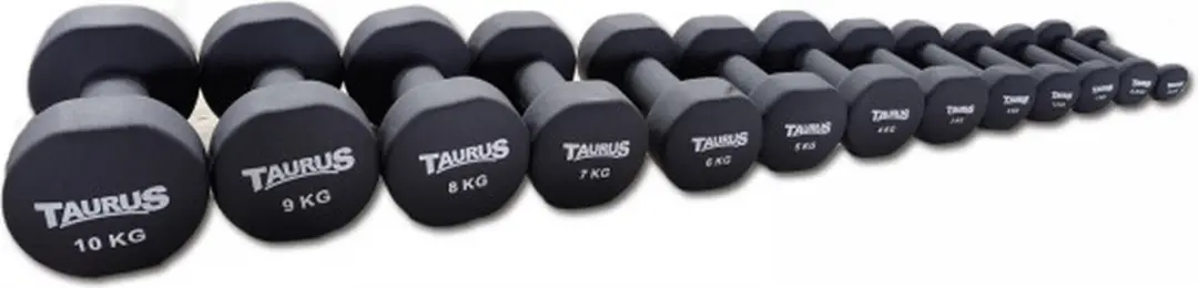 Taurus Neopreen Studio Trainingshalter 6 kg