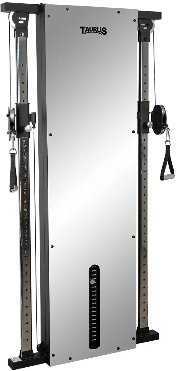 Design Line Dual Pulley 66 kg, met spiegel