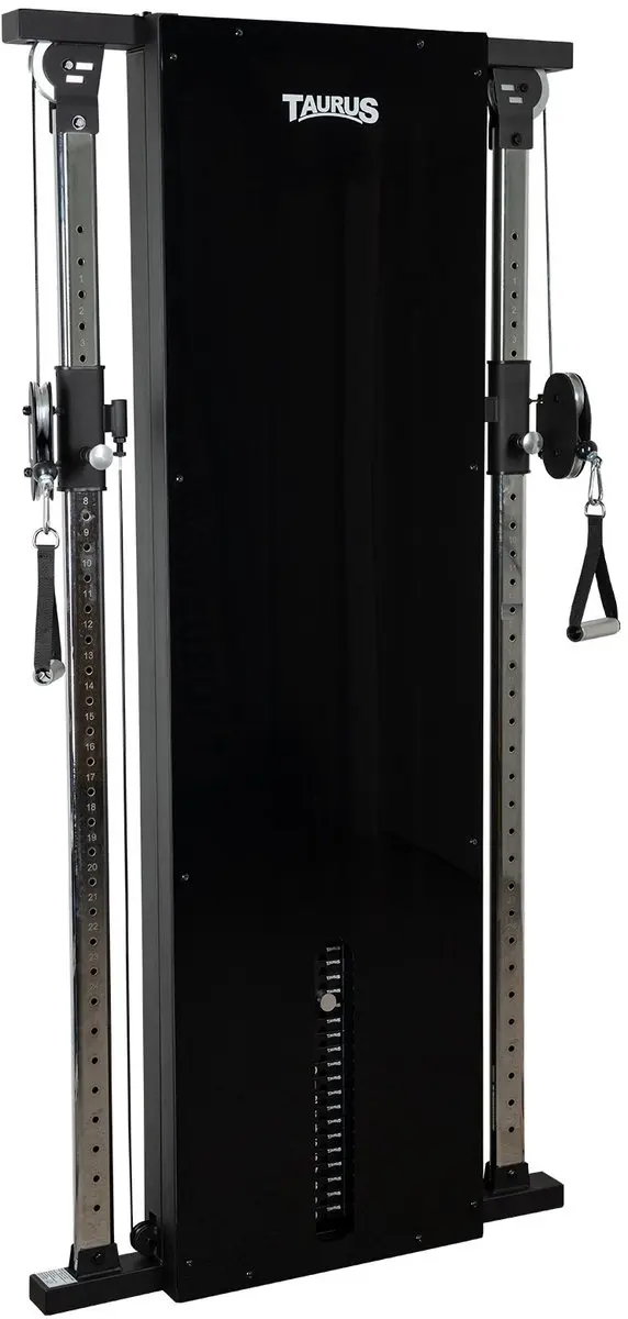 Design Line Dual Pulley 90 kg, met spiegel