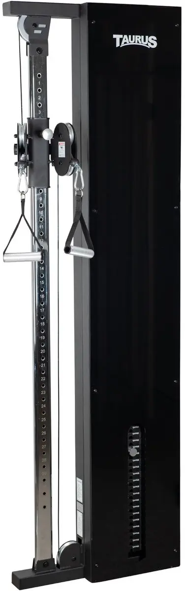 Taurus Design Line Single Pulley 90 kg graphite