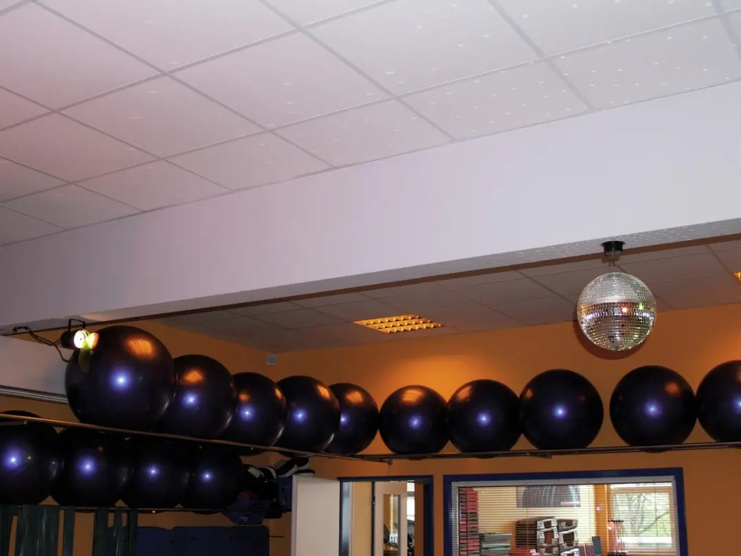Eurolite Spiegelbol 30cm met MD-1515 Motor - afbeelding 3 van 6