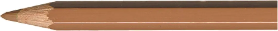 Carand'ache kleur potlood Pablo Cinnamon (055)