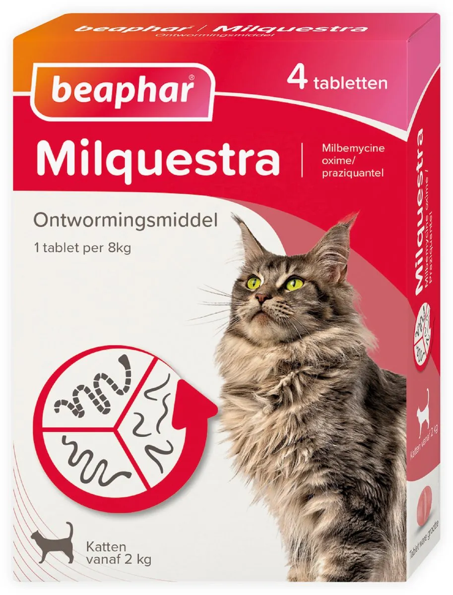 Beaphar Milquestra Kat Rund Anti-wormen 4 tabletten - 2 tot 12 kg
