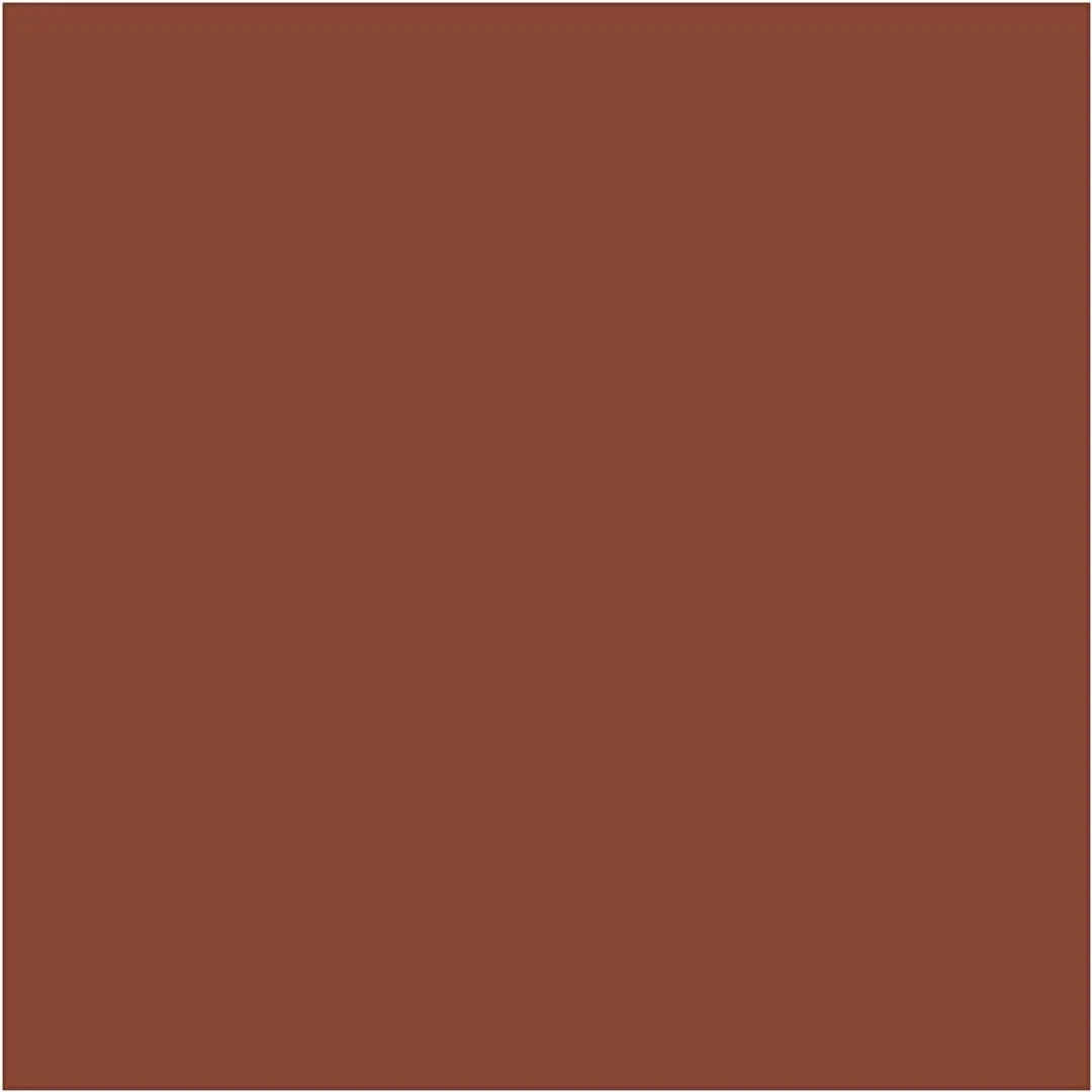 Caran d'Ache Neocolor I Kleurpotloden - Russet (065) - 10 stuks - afbeelding 2 van 6