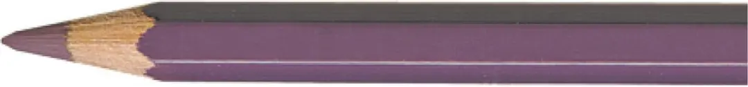 Caran d'Ache Pablo kleurpotlood 099 aubergine