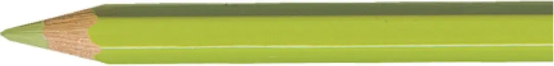 Caran d'Ache Pablo kleurpotlood 245 light olive