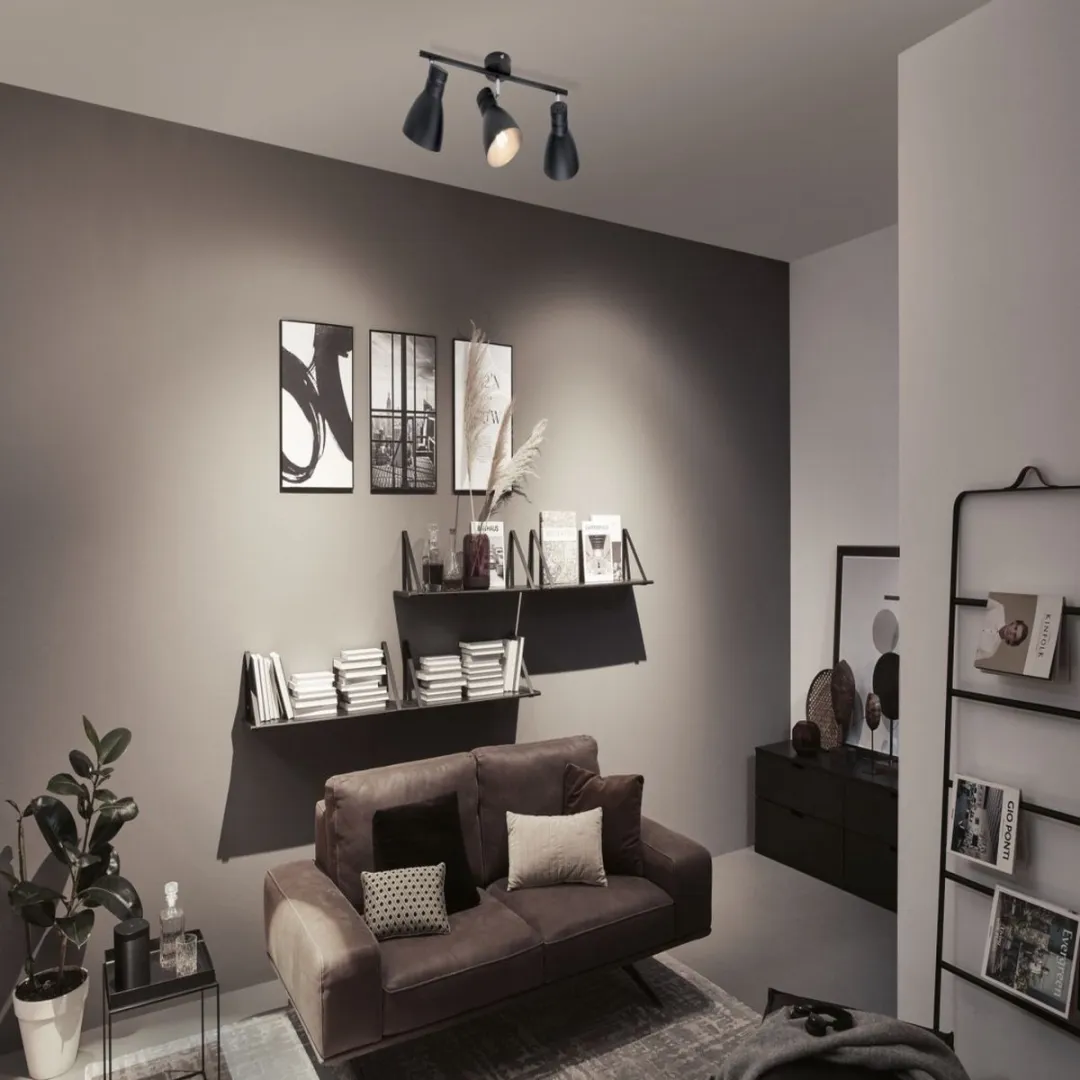 Paulmann Spotlight Davy E27 3x20W - Zwart