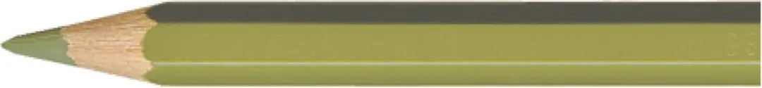 Caran d'Ache Pablo kleurpotlood 249 olive