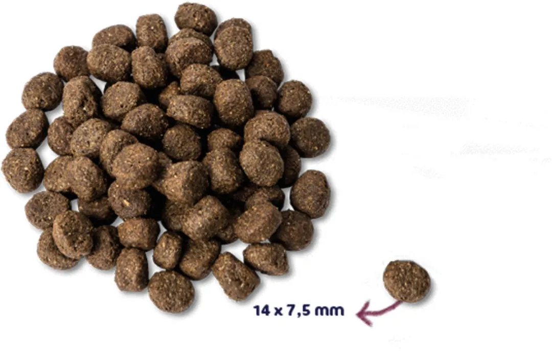Renske Senior Kalkoen Hondenvoer Graanvrij 2kg