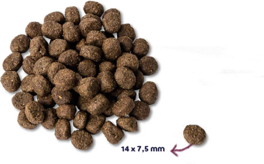 Renske Senior Kalkoen Hondenvoer Graanvrij 2kg