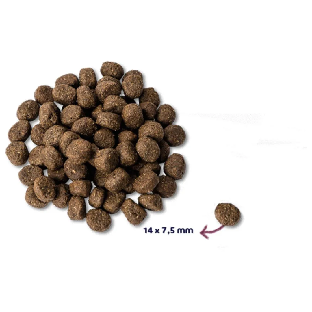 Renske Senior Kalkoen Hondenvoer Graanvrij 2kg - afbeelding 6 van 6