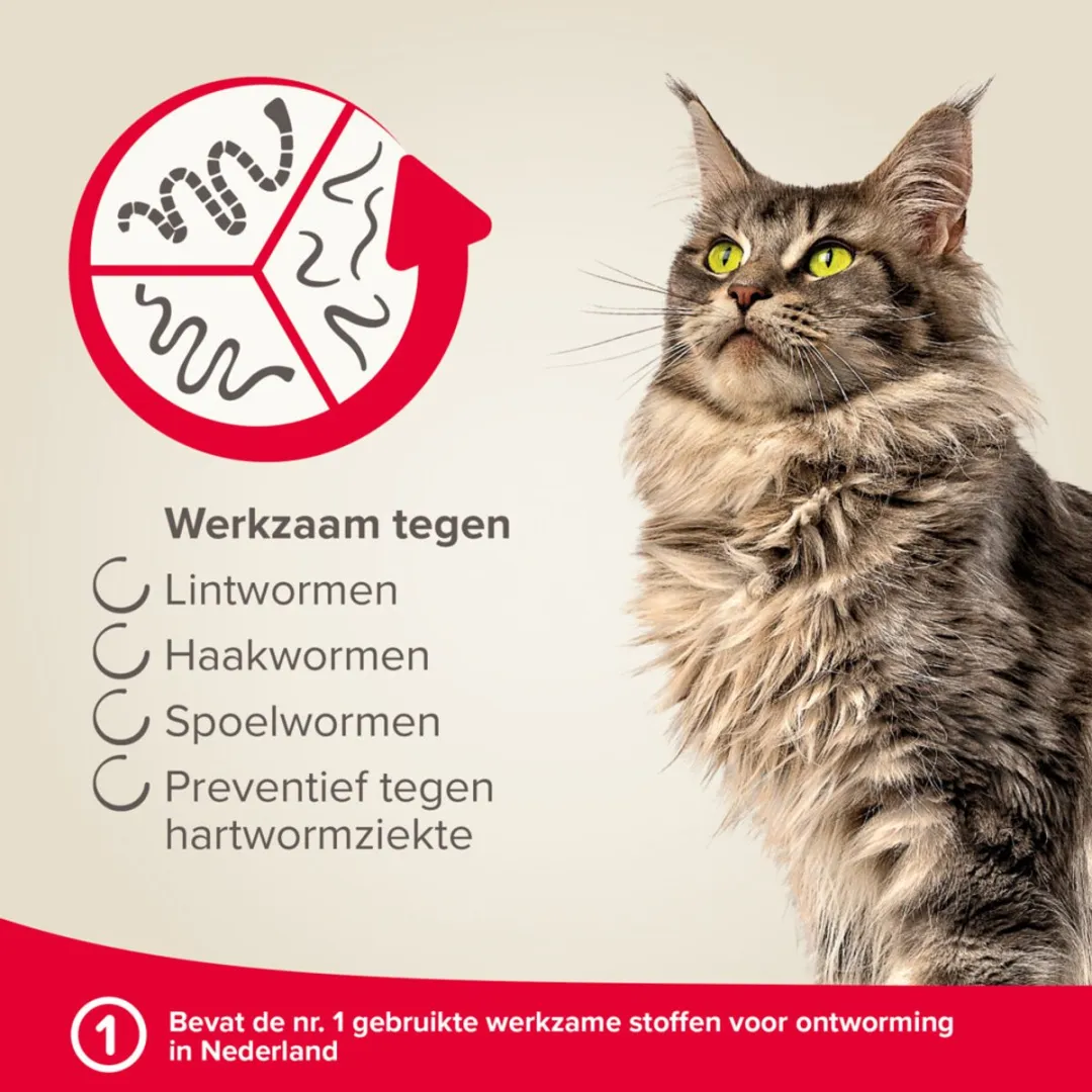 Beaphar Milquestra Ontworming Tabletten Kat 2 - 2x4 Stuks
