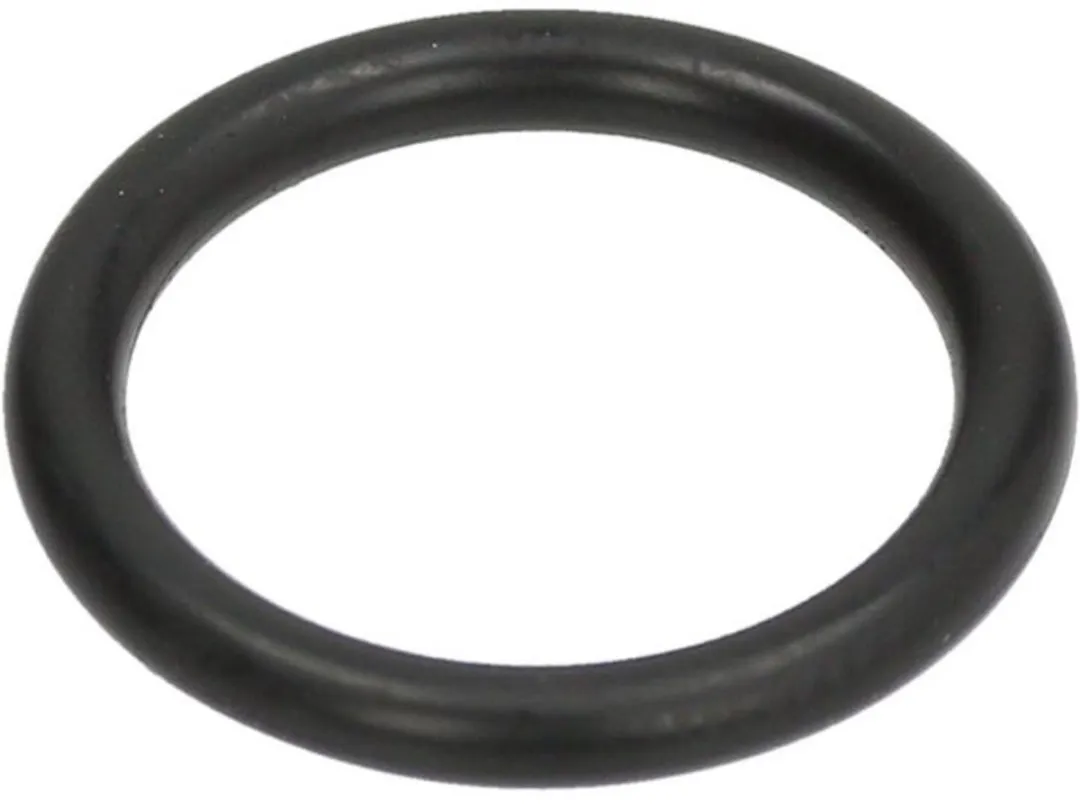 Saeco O-ring 17mm