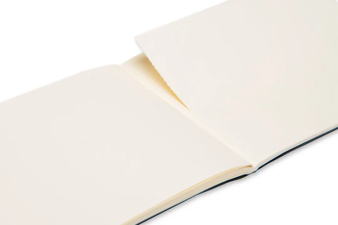 Moleskine Art Schetsalbum Pocket - Softcover - Zwart - afbeelding 4 van 6