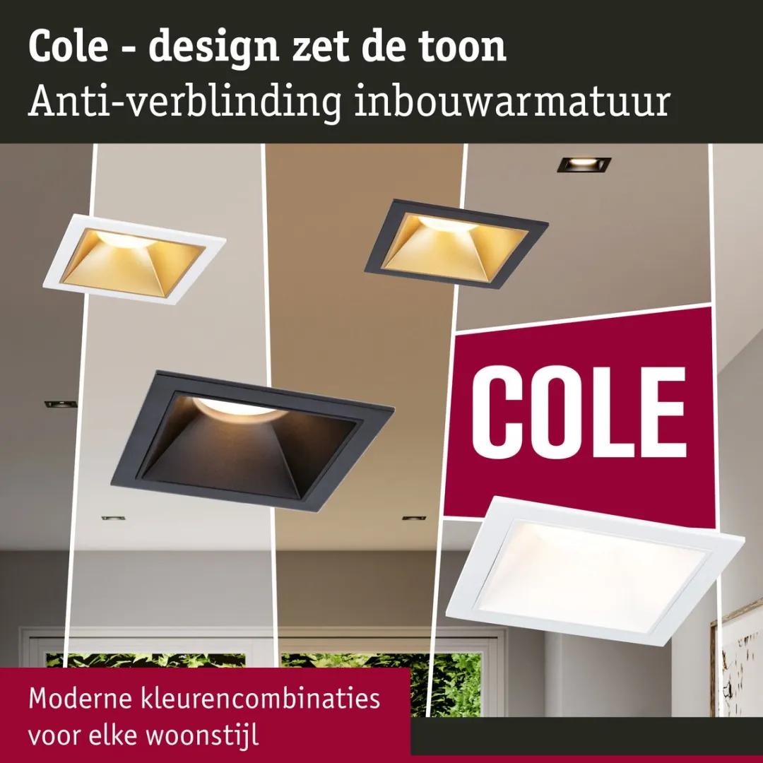 Paulmann LED-inbouwlamp Coin 6W 470lm 2700K - Wit/Goudmat