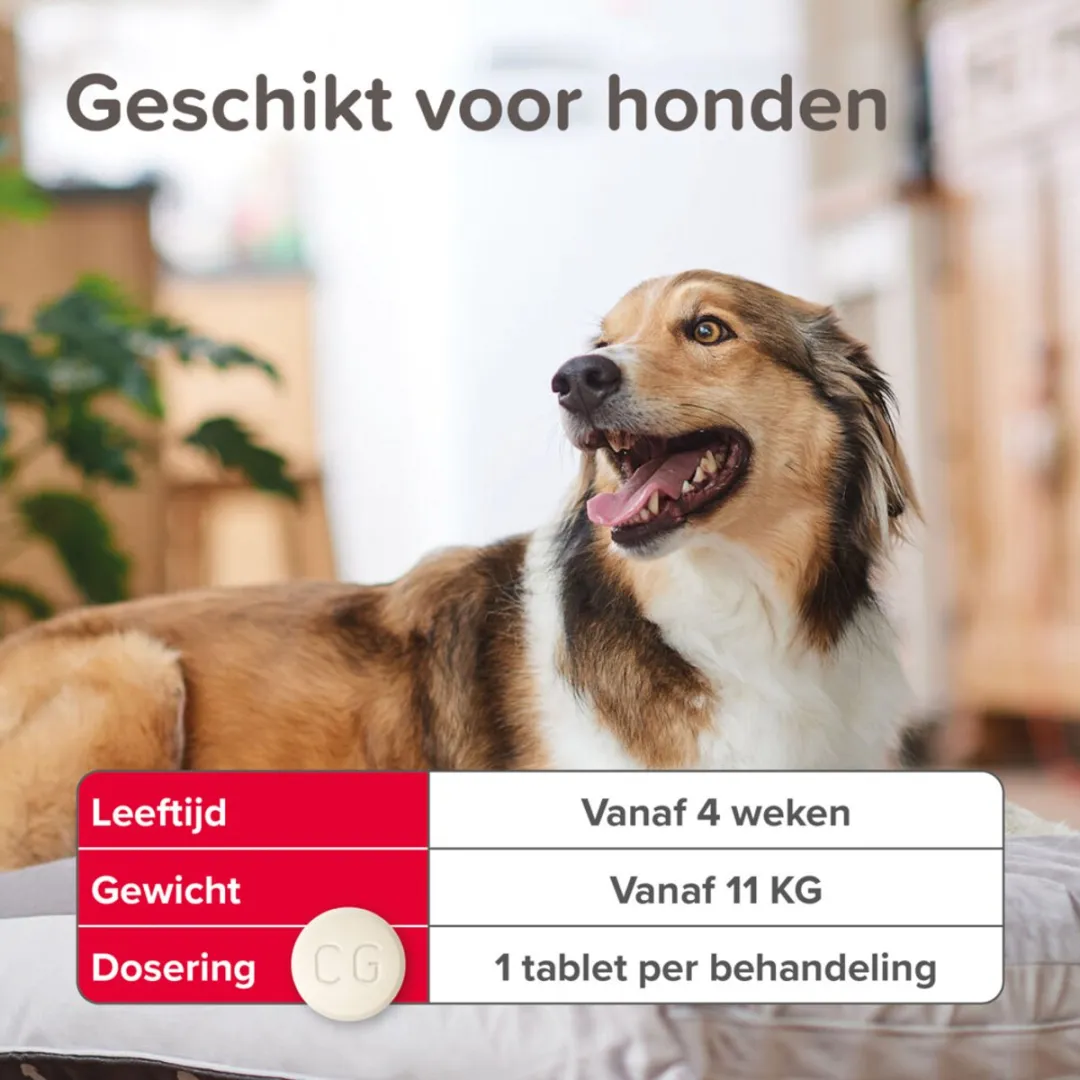 Beaphar Vlo Kill Tabletten Hond 11-57kg - 2x6 Stuks