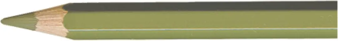Caran d'Ache Pablo kleurpotlood 018 olive grey
