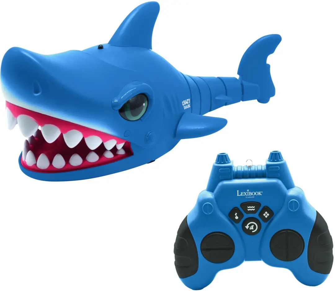 RC Haai